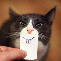 Мужики козлы
