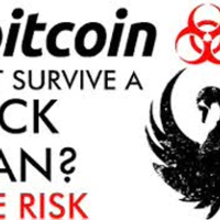 Bitcoin Can It Survive A Black Swan - Price Collapse Risk Explained