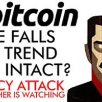 Bitcoin Price Falls- Bull Trend Still Intact MASSIVE Privacy Attack
