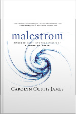 Malestrom: Manhood Swept Into The Currents Of A Changing World