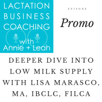 Promo | Deeper Dive into Low Milk Supply with Lisa Marasco, MA, IBCLC, FILCA
