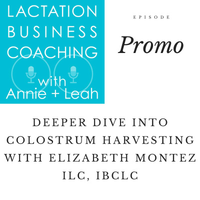 Lactation Business Coaching With Annie And Leah