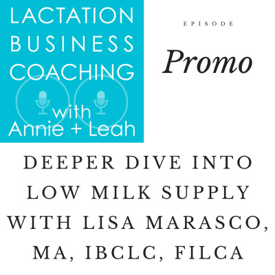 Lactation Business Coaching With Annie And Leah