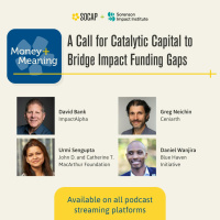 A Call for Catalytic Capital to Bridge Impact Funding Gaps