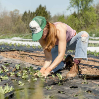 Feeding the world without ‘eating the earth’