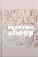 Counting Sheep