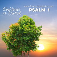 Psalm 1 | Righteous vs Wicked
