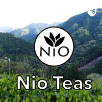 Where to Buy Matcha and What to Look For