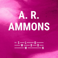 1208: Gravelly Run by A. R. Ammons