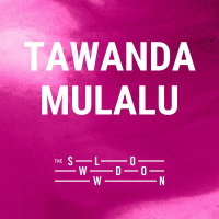 1238: Forgiveness Rock Record by Tawanda Mulalu