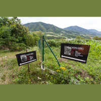 Srebrenica, 11.24 - Het Spoor Terug, Srebrenica