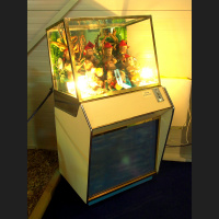 OVT 2014-08-24, Het Spoor Terug, De Bimbobox