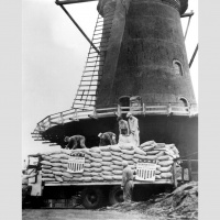 75 jaar na de bevrijding #5