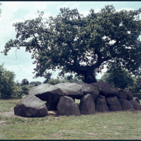 De Hunebedbouwer