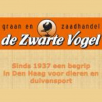 De Zwarte Vogel, 11.25