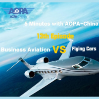 E 13 Business Avaition VS Flying Cars