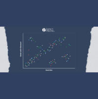 Blogcast: Pros and Cons of Price Variance