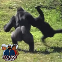 Episode 135 | In His Natural Habitat