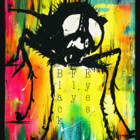 BLACK FLY EYES