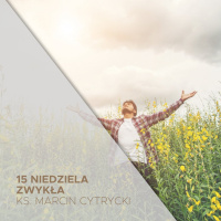 15 niedziela zwykła C (13.07.2025) - Gdzie znajdziesz szczęście - ks. Marcin Cytrycki