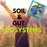 Soil amp Gut Ecosystems
