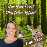 New Year Meditation Retreat