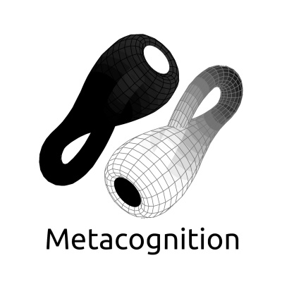 Metacognition