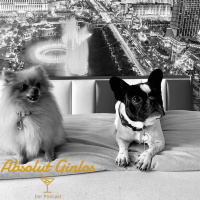 #02.11) Who let the Dogs out? - Na wir natürlich...