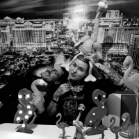 #6) Karma Chameleon - Der Paradiesvogel