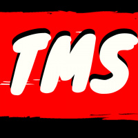 TMS 0-About the podcast and the channel!