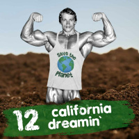 California Dreamin