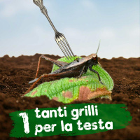 Tanti grilli per la testa