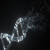 Dr. Robert Malone | Lies My Government Told Me, The Medical Industrial Complex,  The Transhumanist Plan