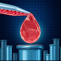 Dr. Frédéric Leroy | The Food Control Cult, Anti-Meat Elite,  The Frankenfood Industrial Complex