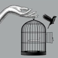 Derrick Broze | The Conscious Agora, Sovereignty Solutions,  Freedom Resources