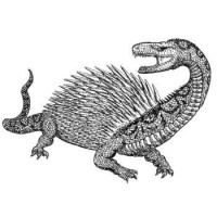 JDR ACADEMY – MONSTER OF THE WEEK #03A : PRESQUE UN DRAGON