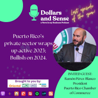 Puerto Ricos private sector wraps up active 2023 Bullish on 2024