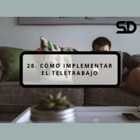 28. Cómo implementar el teletrabajo