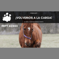 42. ¡Volvemos a la carga!