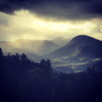 Wild Storms, Torn Dew Claws amp Empathic Overload