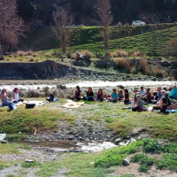 Giant Toads, Microphones, LOVE and the Lost Blog...