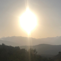 More Bureaucratic Shenanigans and the Obligatory Miracle...