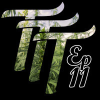 The Tall Turtles Podcast - Episode 11