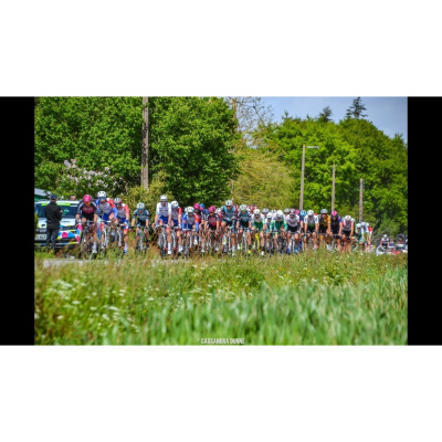 Les Commissaires De Course