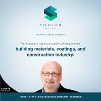 S1. Ep. 30: Fueling Your Curiosity (With Steve Levin)