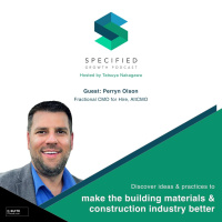 S2. Ep. 156: Understanding Your Ideal Client (With Perryn Olson)