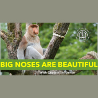 149: Big Noses Are Beautiful | Captain Influence