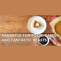 Thankful for Food, Family, Friends, and Fantastic Beasts | Captain Influence and Green Butterfly