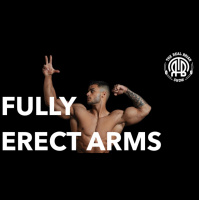 288: Fully Erect Arms