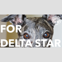 290: For Delta Star